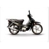 SJ110-F新天靈