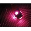 LED插泡