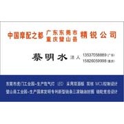 精銳 (11)