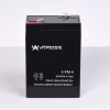 免維護(hù)蓄電池